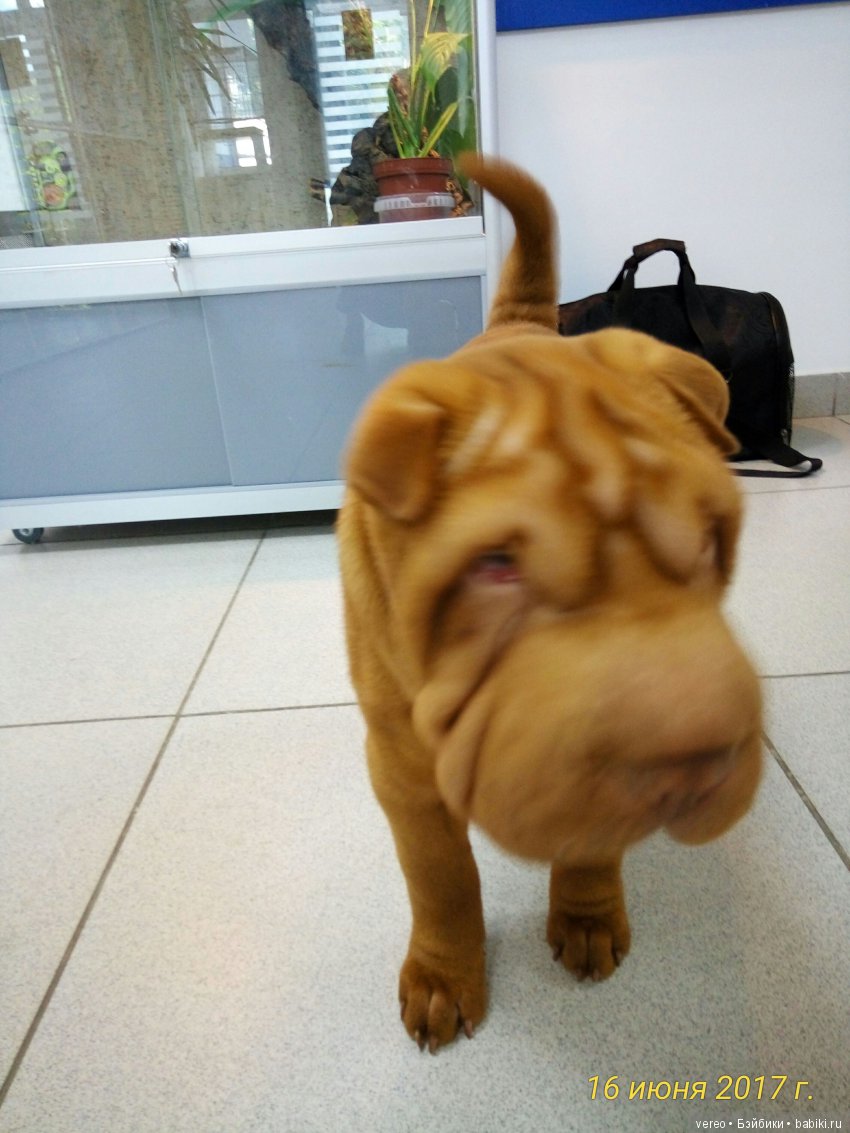 Живой уголок в зооцентре — В мире животных: смешные фото питомцев и зверей (фото 5)