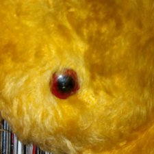 Нужен ли он в России?