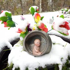 Флешмоб "Белая Золотая осень"