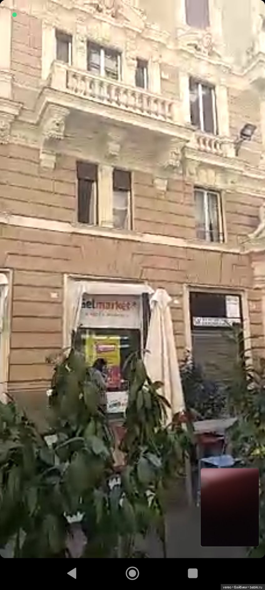 Виртуальное путешествие по рынку Генуи (фото 6)