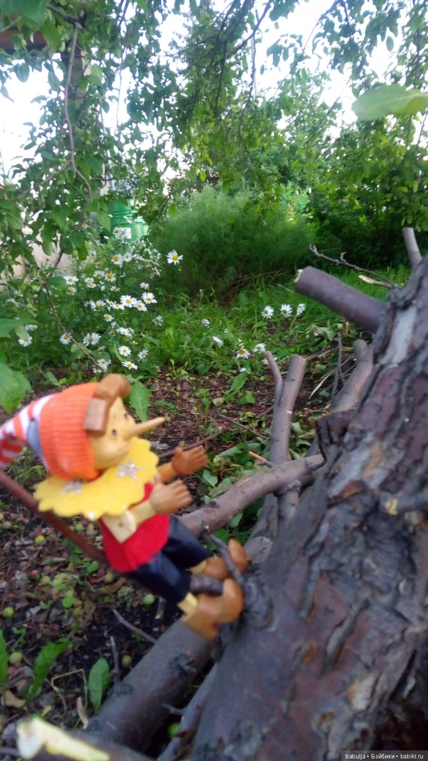 Кукольное новоселье — Болталка и разговоры обо всем: жизнь