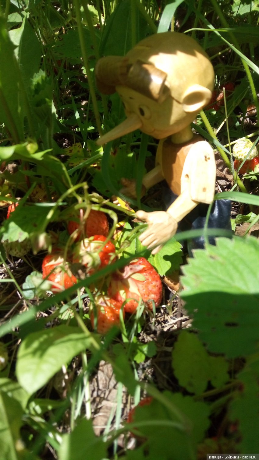 Кукольное новоселье — Болталка и разговоры обо всем: жизнь