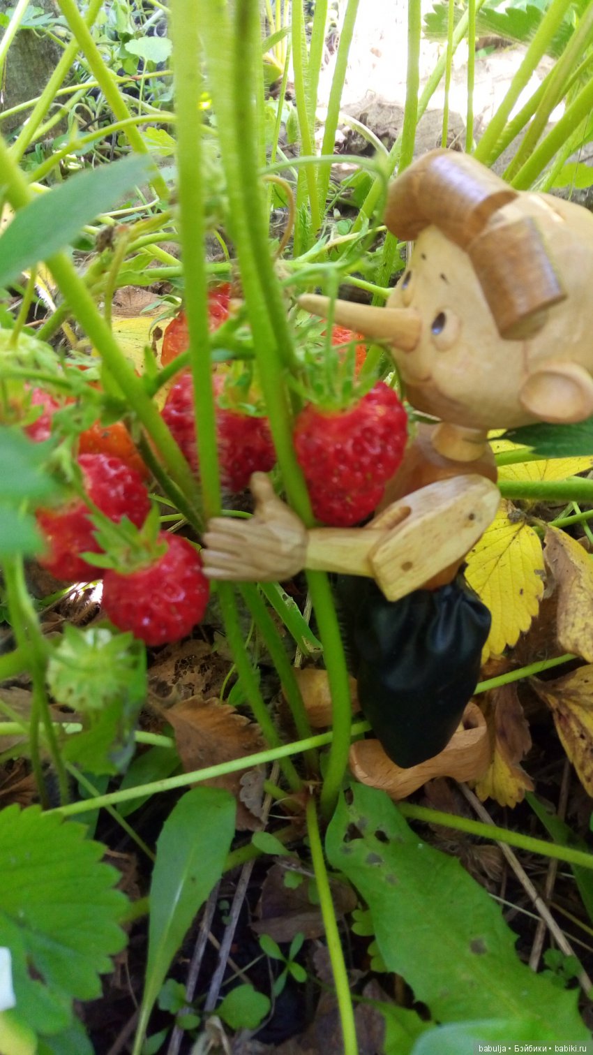 Кукольное новоселье — Болталка и разговоры обо всем: жизнь