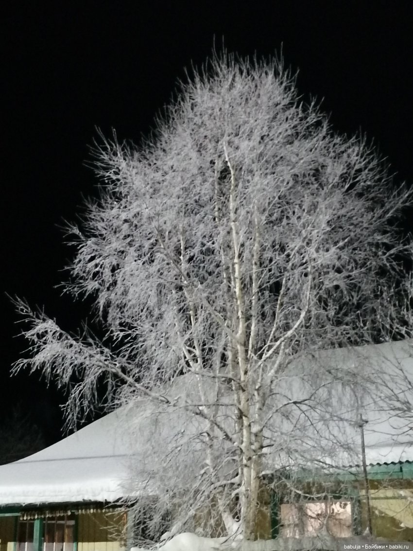 Предновогоднее — Куклы с Алиэкспресс (Aliexpress): Китайские шарнирные (фото 4)