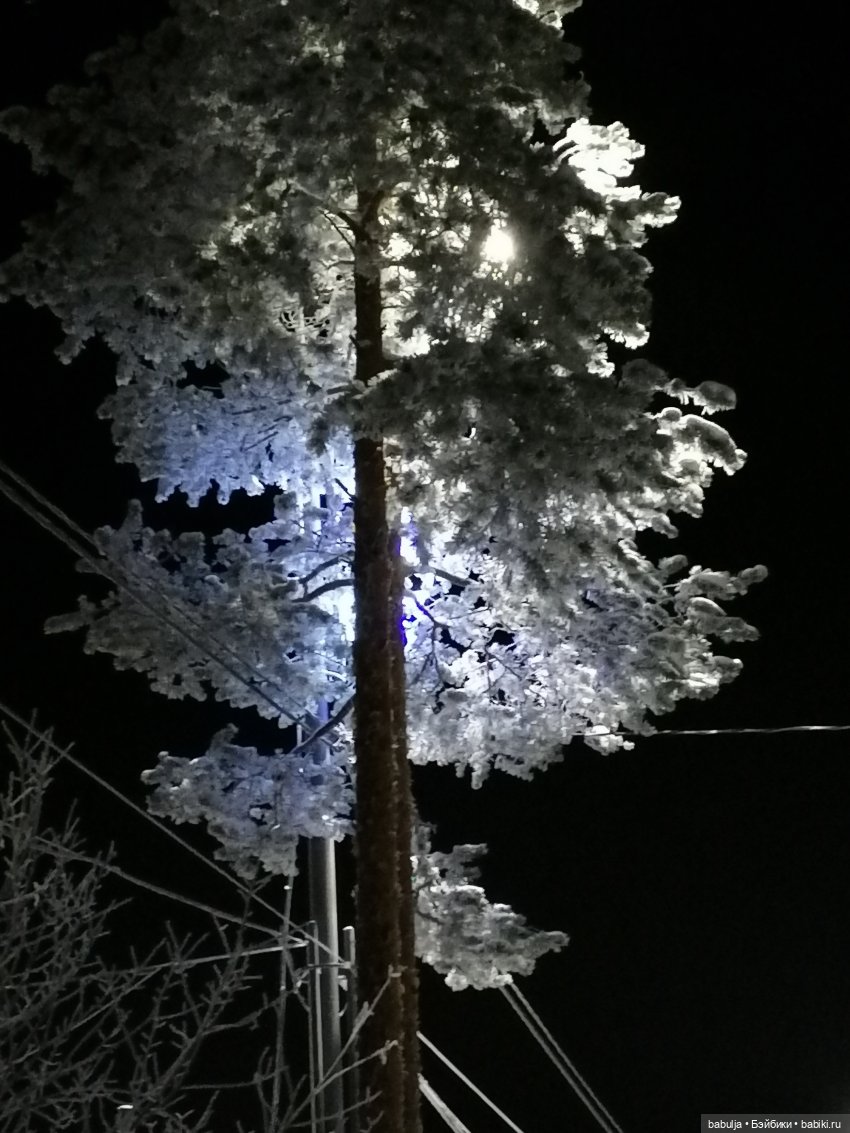 Предновогоднее — Куклы с Алиэкспресс (Aliexpress): Китайские шарнирные (фото 7)