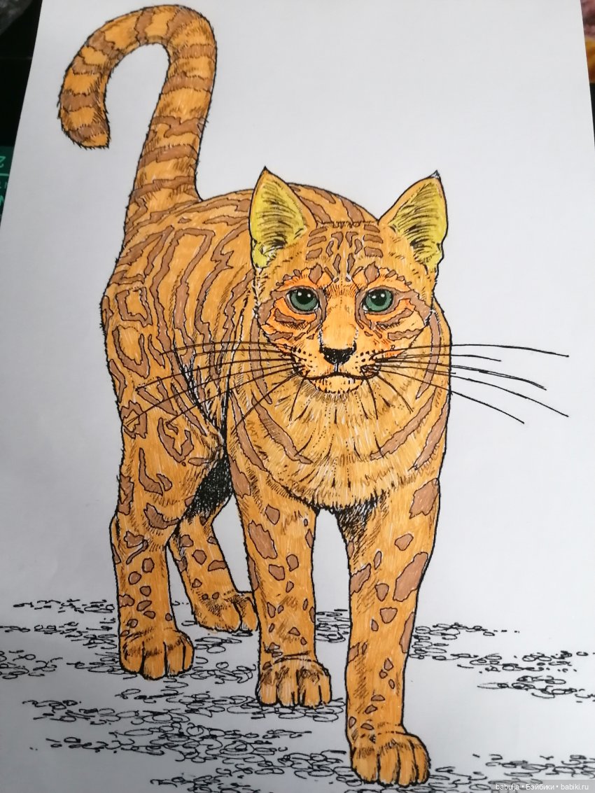 Новое увлечение - раскраски антистресс (фото 3)