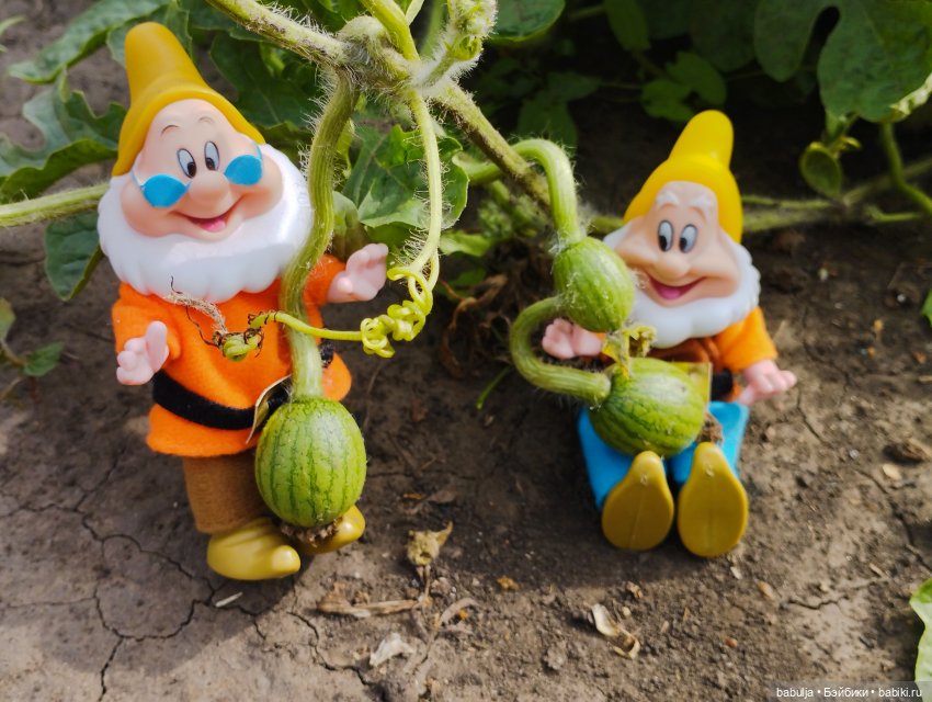 Продолжаю знакомить с вновь прибывшими