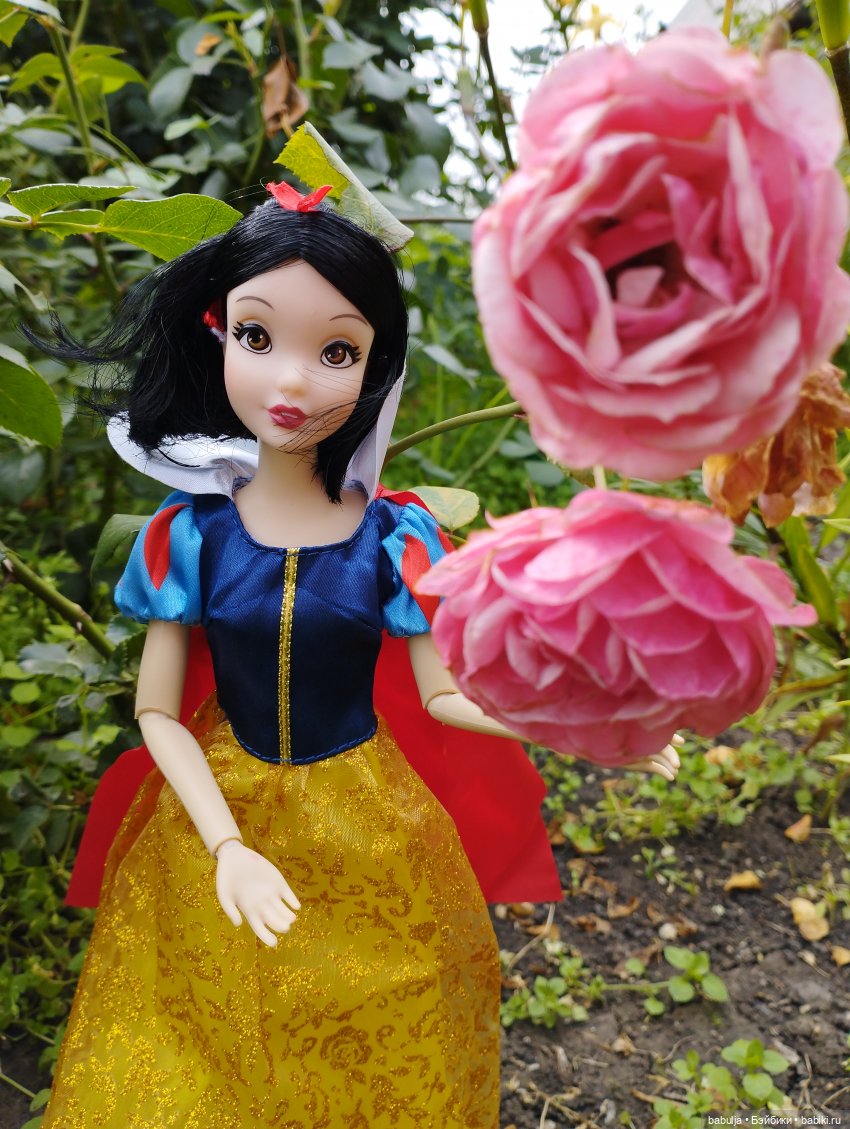 Продолжаю знакомить с вновь прибывшими