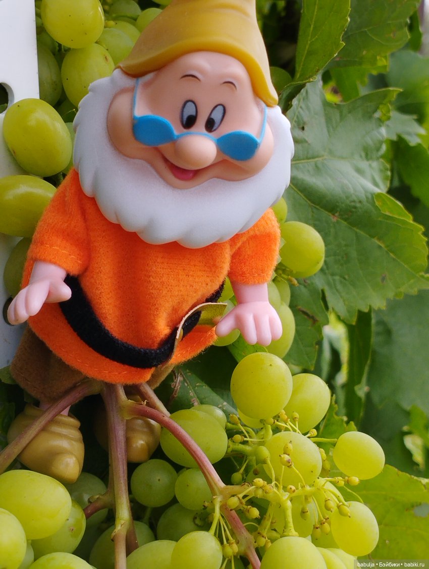 Продолжаю знакомить с вновь прибывшими (фото 7)