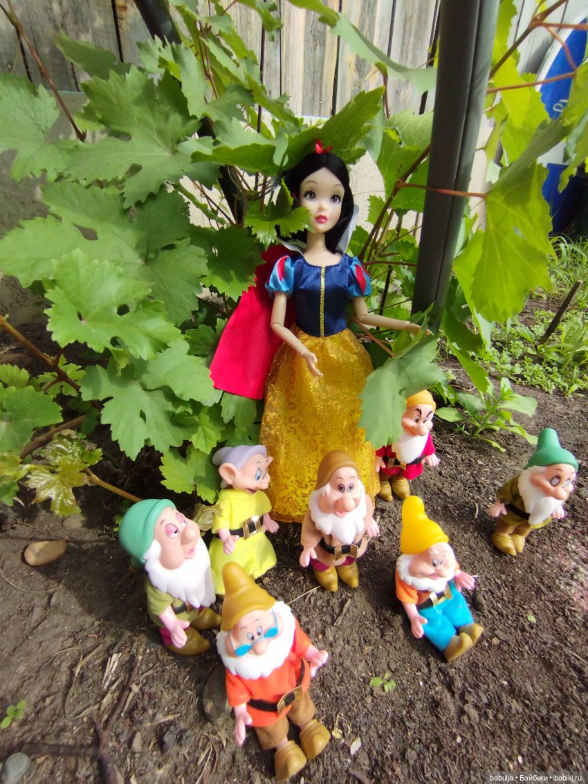 Продолжаю знакомить с вновь прибывшими