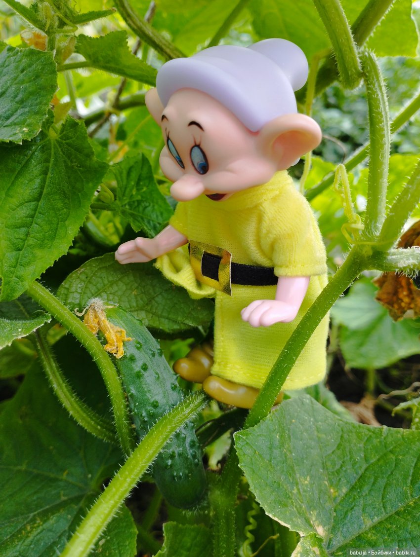 Продолжаю знакомить с вновь прибывшими (фото 2)