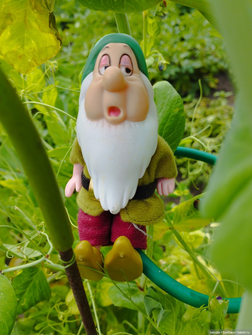 Продолжаю знакомить с вновь прибывшими (фото 3)