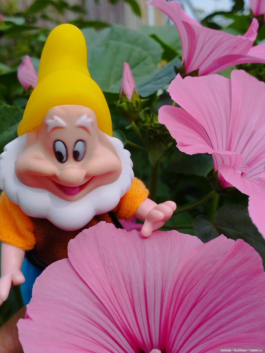 Продолжаю знакомить с вновь прибывшими (фото 5)