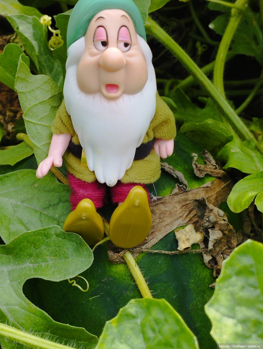 Продолжаю знакомить с вновь прибывшими