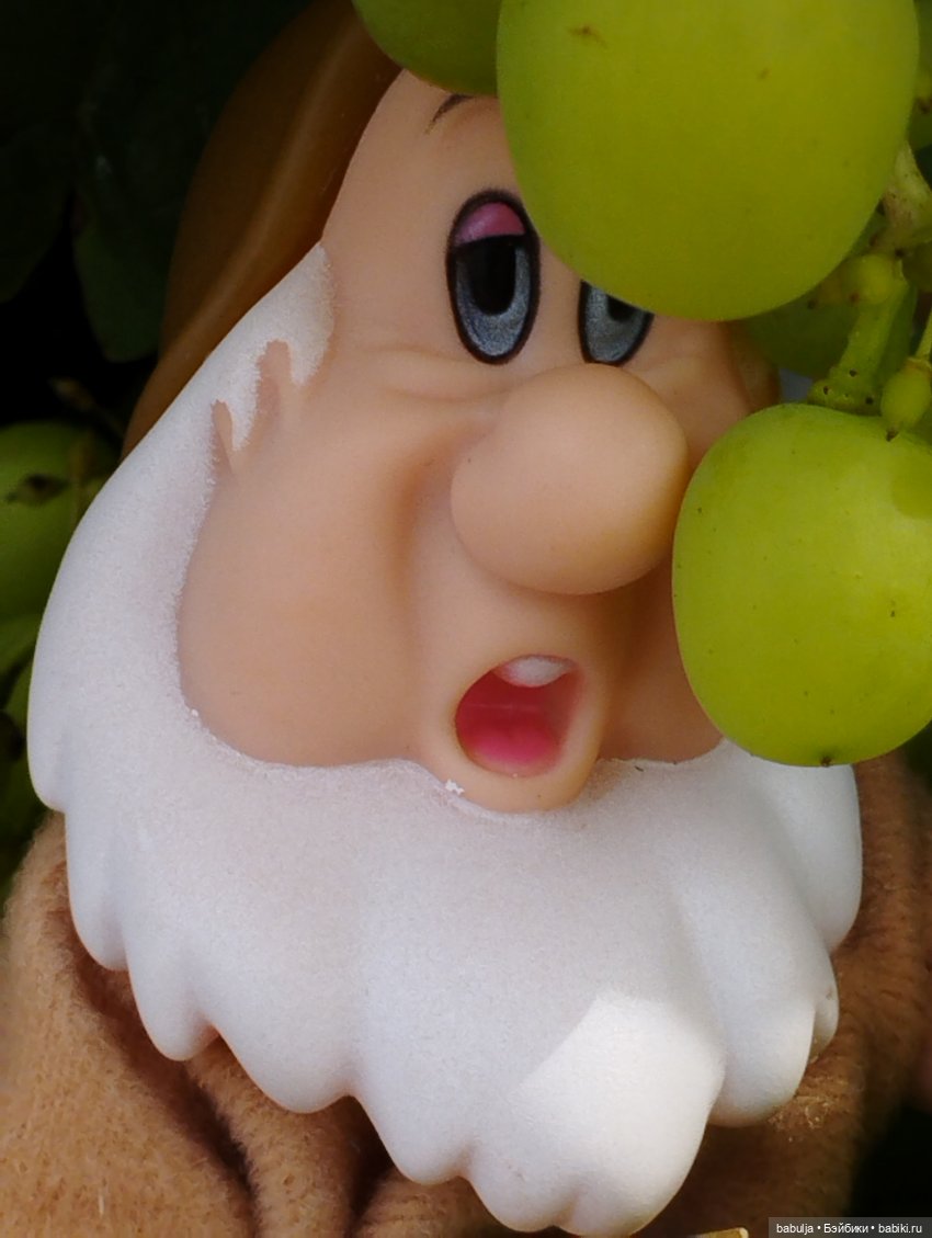 Продолжаю знакомить с вновь прибывшими (фото 8)