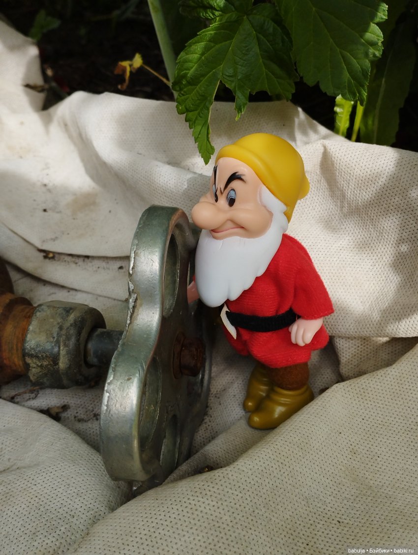 Продолжаю знакомить с вновь прибывшими (фото 9)