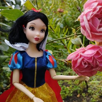 Продолжаю знакомить с вновь прибывшими...