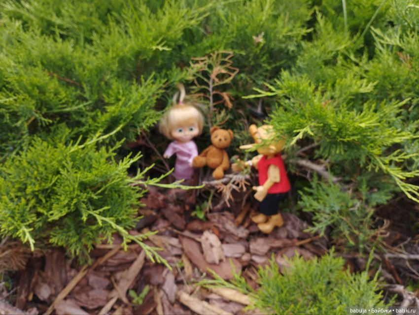 Летние приключения кукол или как Мишутка потерялся