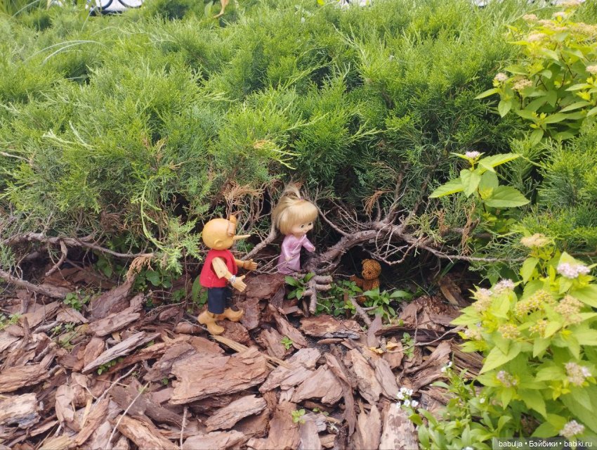 Летние приключения кукол или как Мишутка потерялся