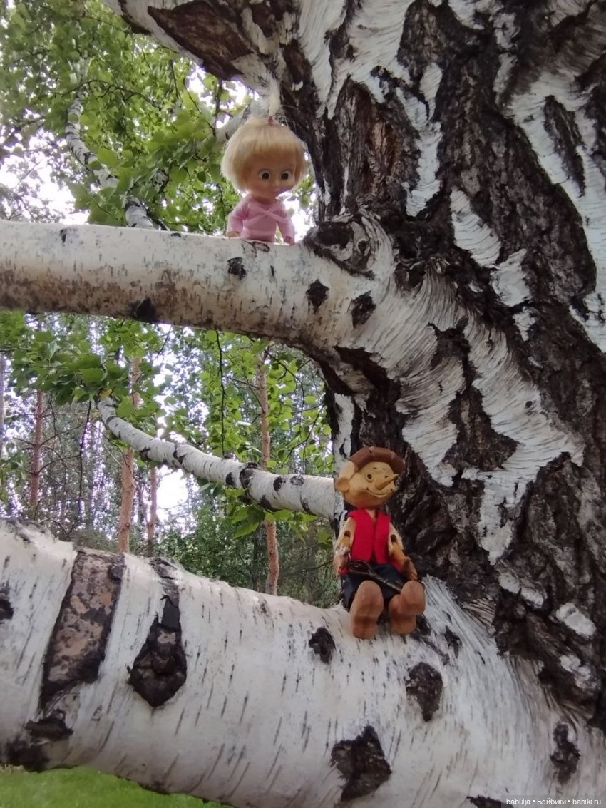 Летние приключения кукол или как Мишутка потерялся (фото 8)