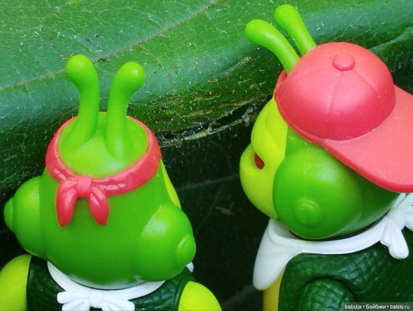 История маленькой тыковки (фото 7)