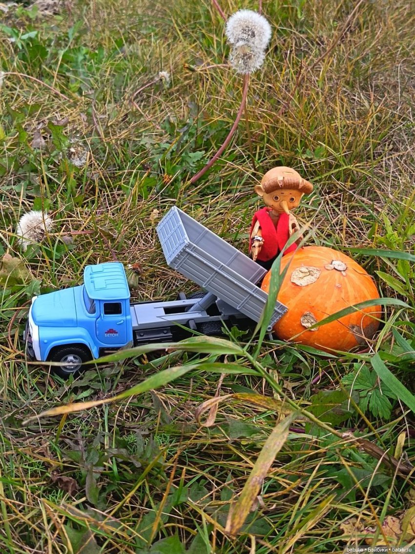 История маленькой тыковки