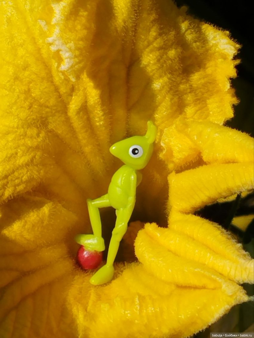 История маленькой тыковки (фото 10)