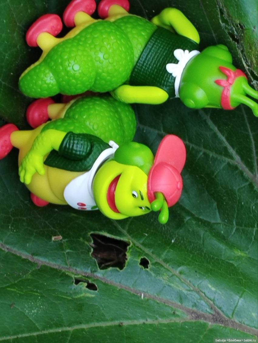 История маленькой тыковки (фото 8)