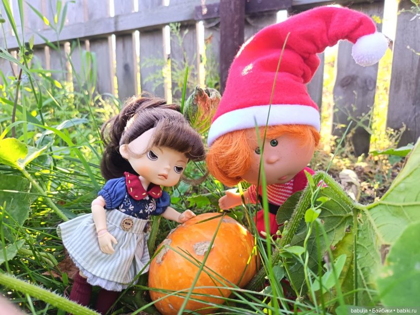 История маленькой тыковки