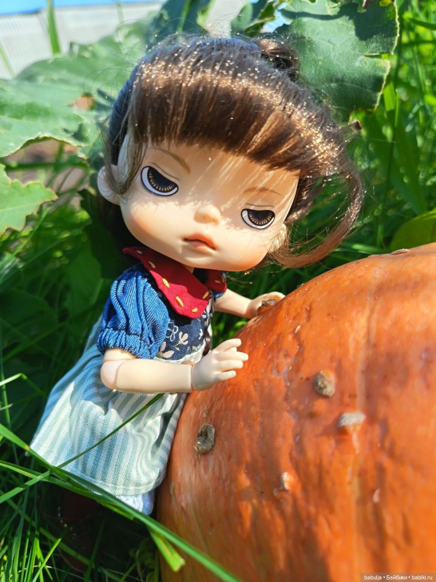 История маленькой тыковки