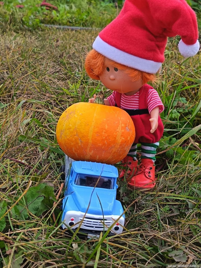 История маленькой тыковки