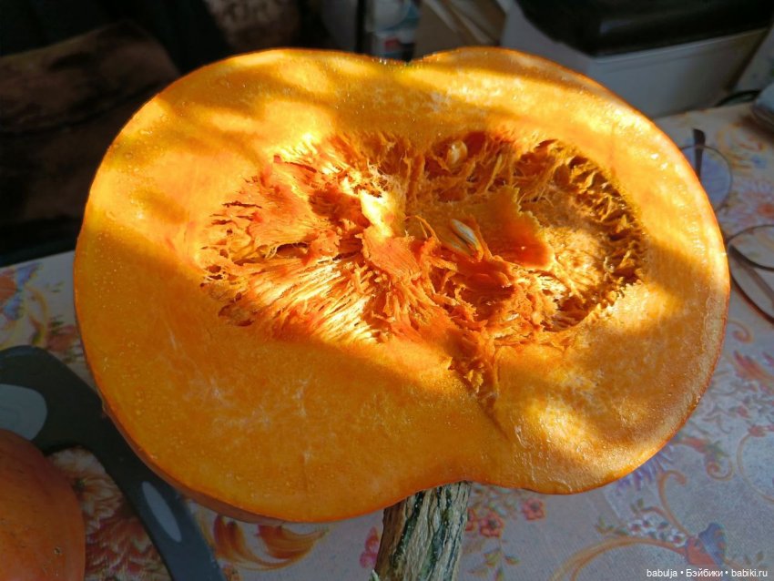 История маленькой тыковки