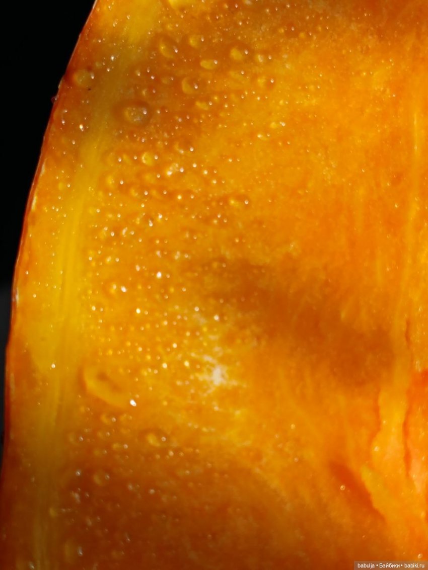 История маленькой тыковки