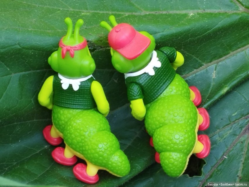 История маленькой тыковки (фото 6)