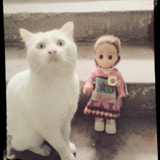 Лучшее место для отдыха