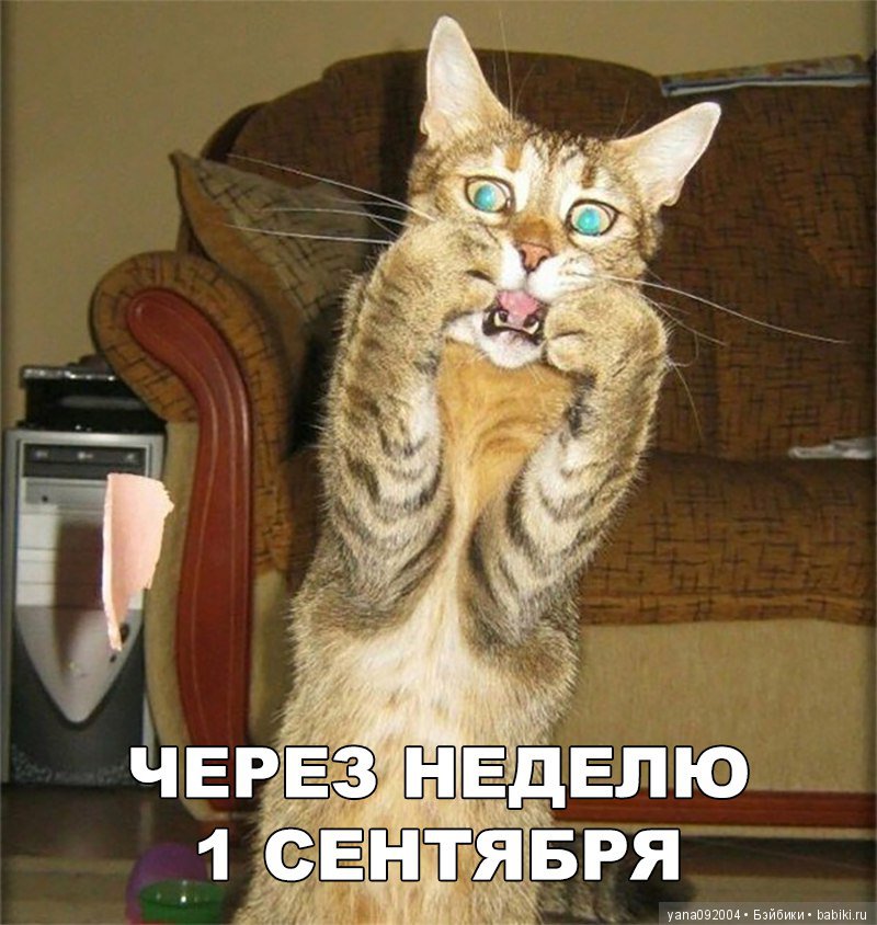 Поздравление с 1 сентября