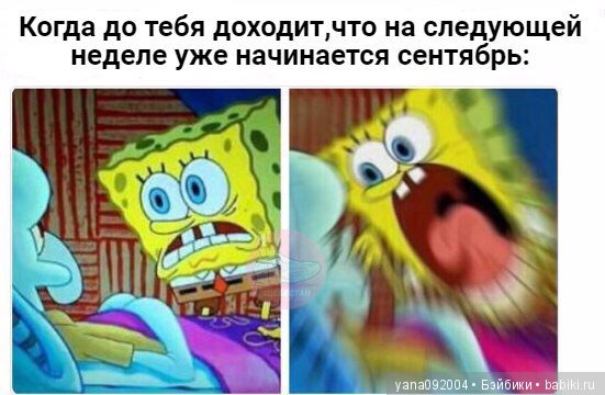 Поздравление с 1 сентября (фото 4)