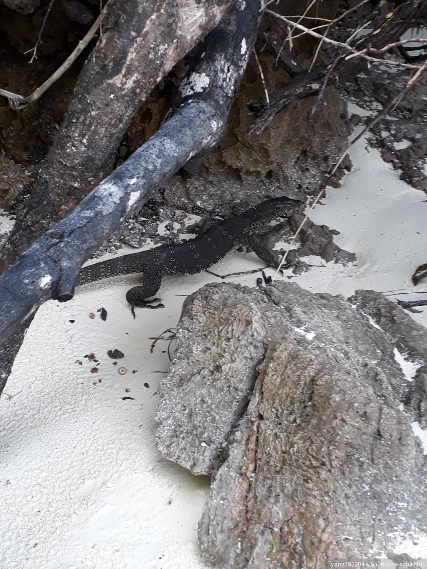 Опять в Тайланде — Туризм и путешествия: фотоотчеты из поездок