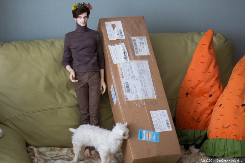 Моя Миша. Распаковка тела DollsTown