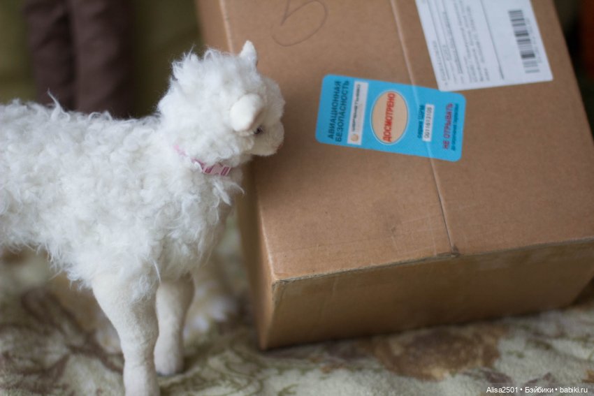 Моя Миша. Распаковка тела DollsTown (фото 2)