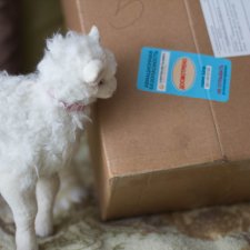 Моя Миша. Распаковка тела DollsTown