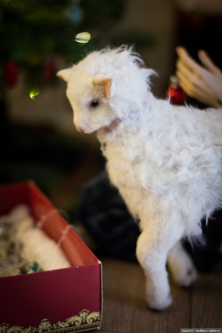 С рождеством — Гибридизация кукол BJD (БЖД): пересадка головы (фото 5)