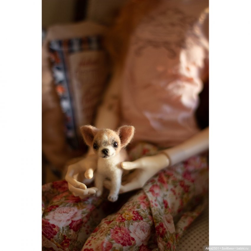 Гость после заката — Фотоистории с куклами BJD (БЖД): сериалы (фото 10)