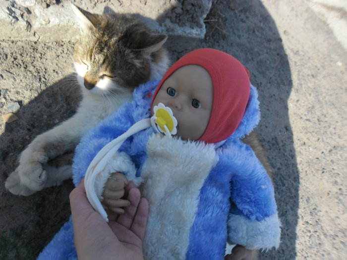 Познакомим вас с нашими старожилами. Это Нина(в честь пробабушки) ей в этом году 16 лет было. Любит ласку и обожает детей))