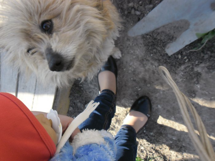 А это преданная Дуся. Любимка деда.