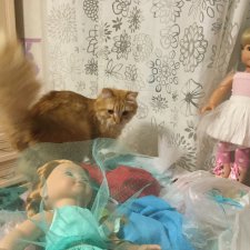 Наши помощники