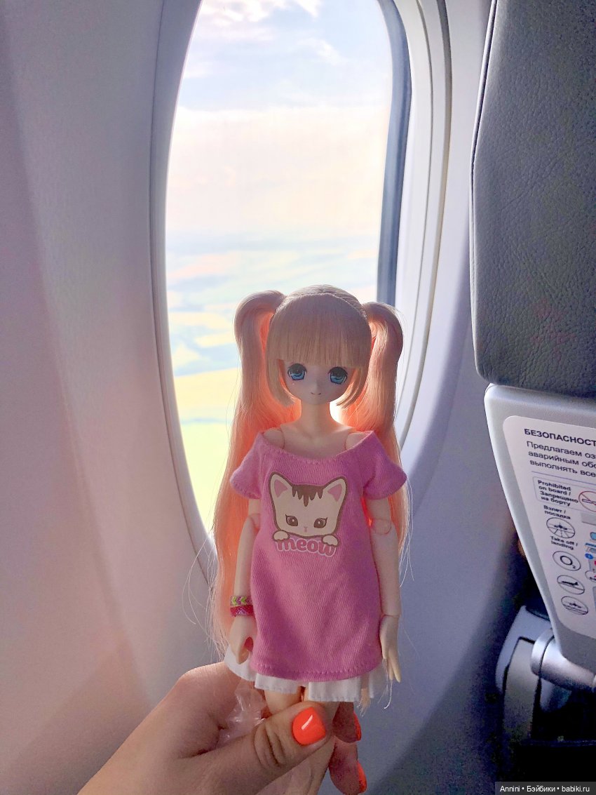Путешествие азонок в США — Куклы Azone (Азон) и тела Pure Neemo: фото