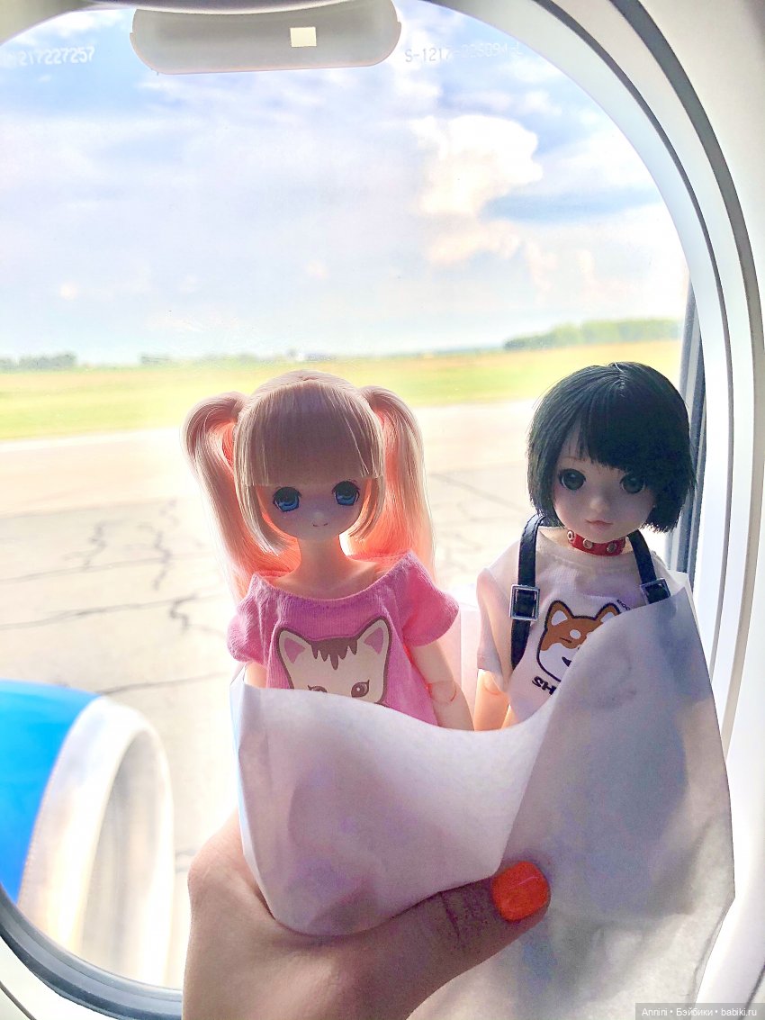 Путешествие азонок в США — Куклы Azone (Азон) и тела Pure Neemo: фото (фото 2)