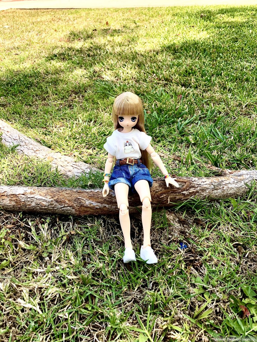 Путешествие азонок в США — Куклы Azone (Азон) и тела Pure Neemo: фото (фото 9)