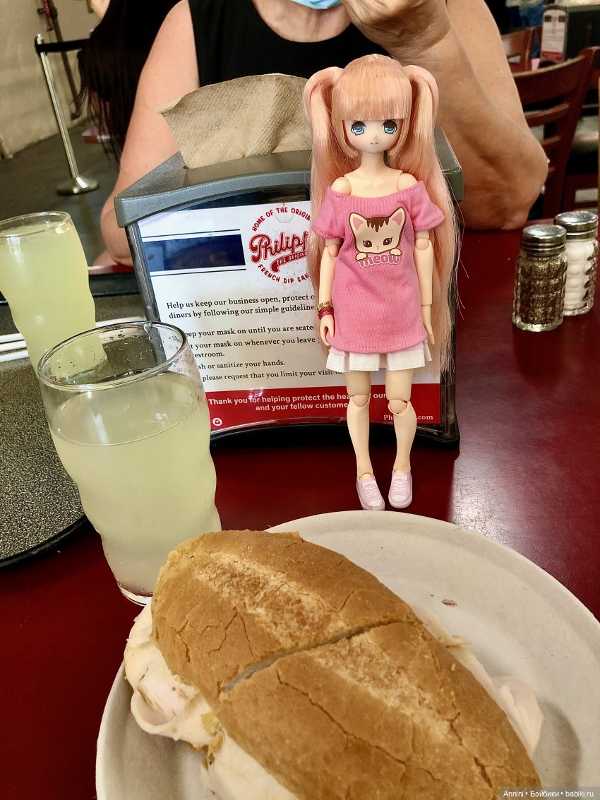 Путешествие азонок в США — Куклы Azone (Азон) и тела Pure Neemo: фото (фото 5)